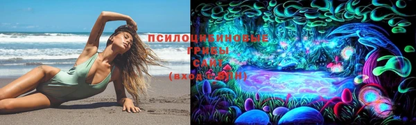 экстази Алексин