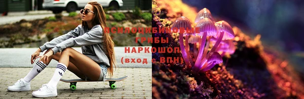 каннабис Алзамай