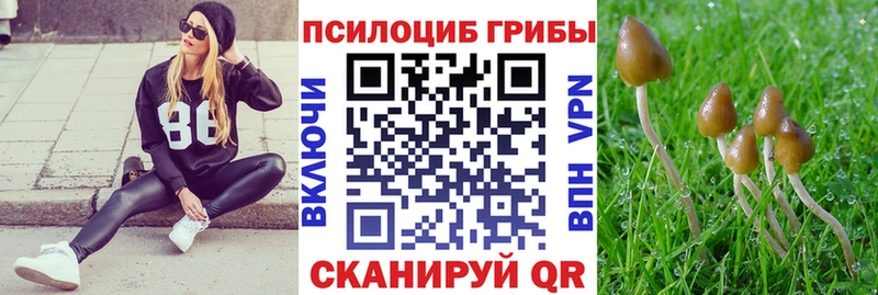 где можно купить наркотик  Лахденпохья  blacksprut как войти  Псилоцибиновые грибы Psilocybe 